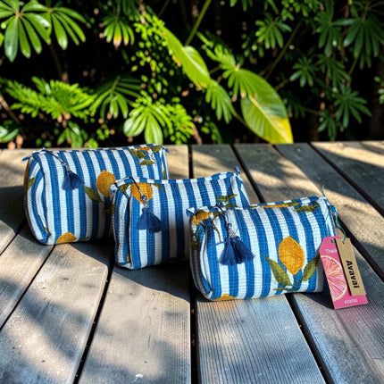 Roary Pouch ★ Lemons