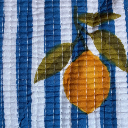 Roary Pouch ★ Lemons