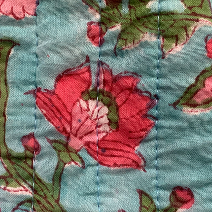 Roary Pouches 🐾 Hawai